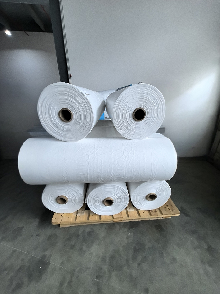 �����籡Ĥ