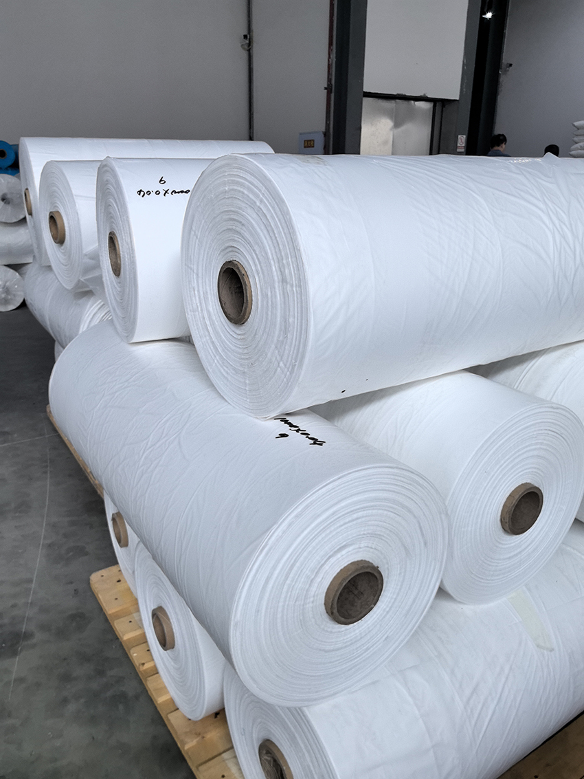 �����籡Ĥ