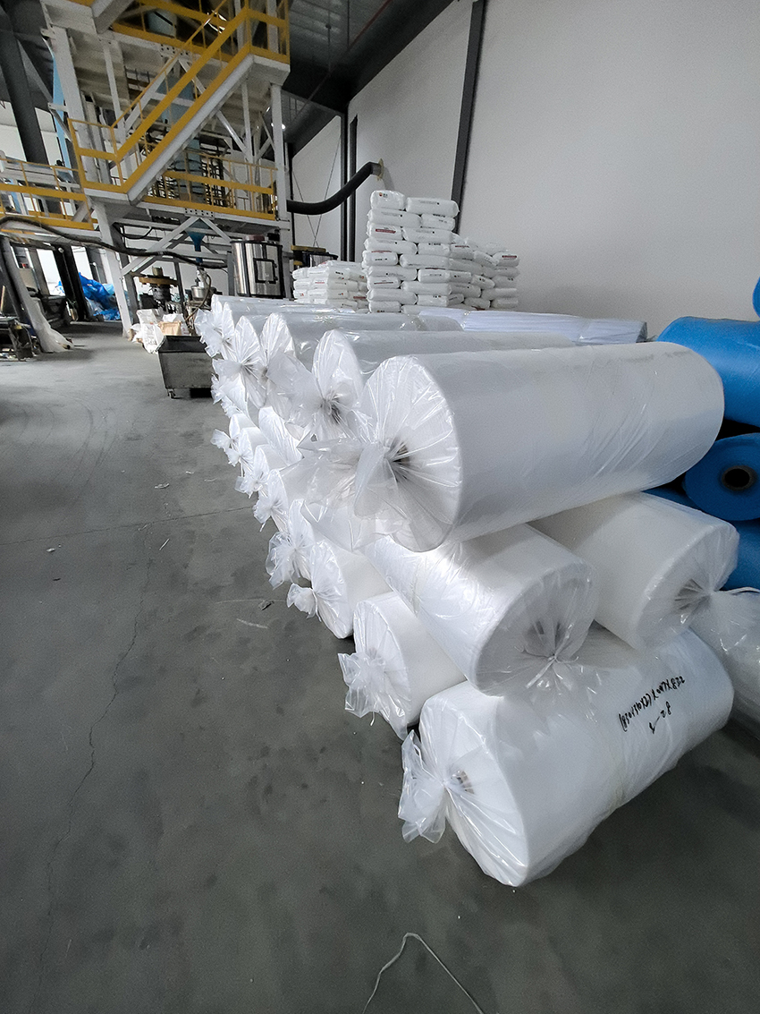 �����籡Ĥ