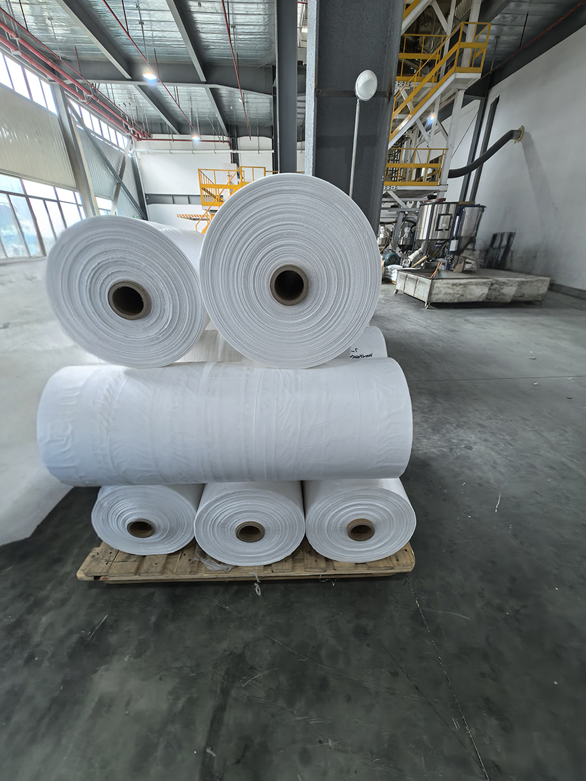 �����籡Ĥ