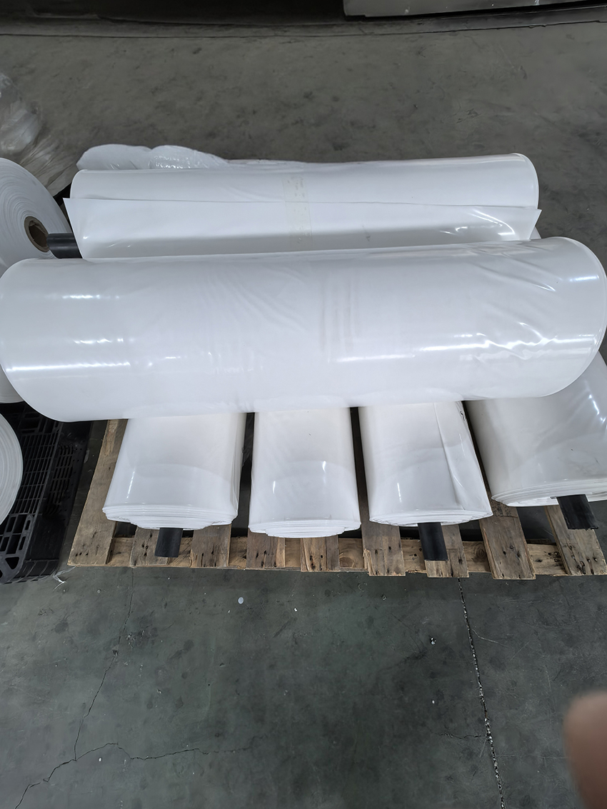 �����籡Ĥ